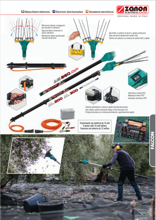 ZANON FALCON 12V – ABBACCHIATORE ELETTRICO CON ASTA TELESCOPICA 3 m