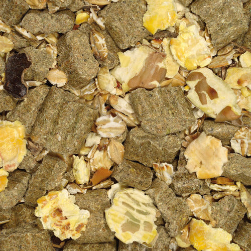 Mangime Cavalli Giuntini EBO 20 20 kg