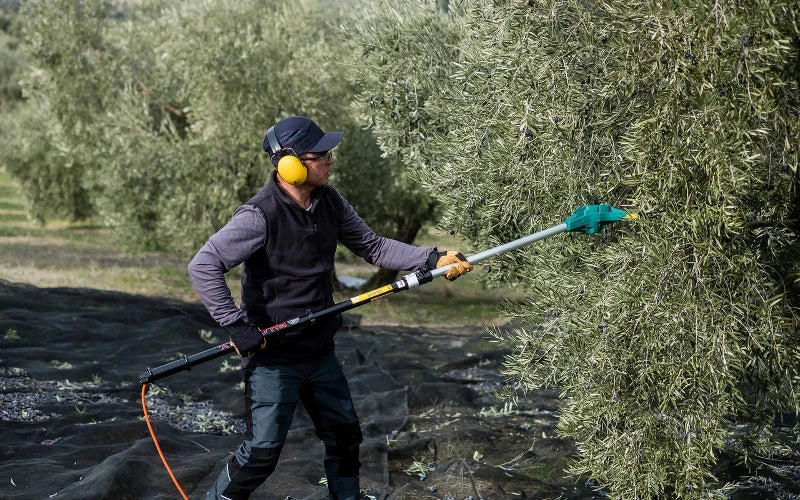 ZANON FALCON 12V – ABBACCHIATORE ELETTRICO CON ASTA TELESCOPICA 3 m