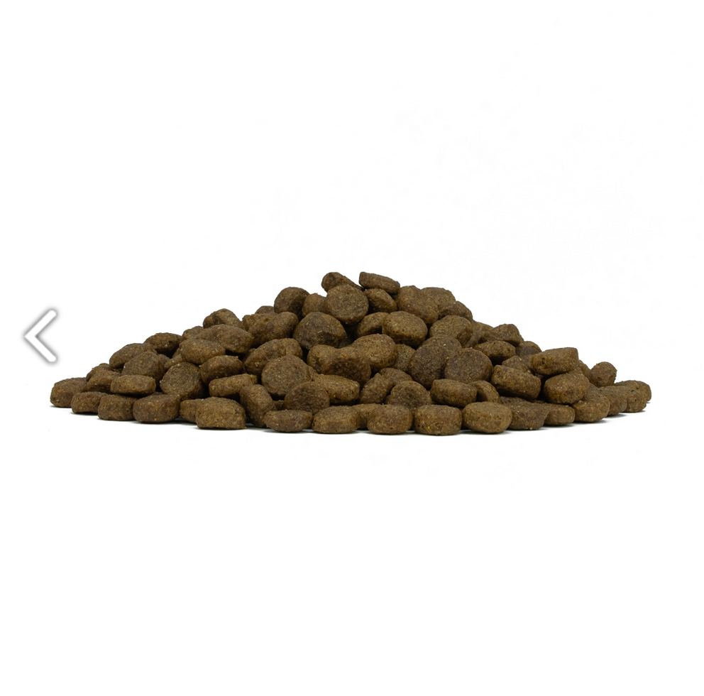 Forza10 Mini Adult – Hypoallergenic Monoprotein al Pesce 1,5 kg