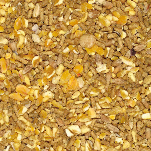 Mangime Coccodoro Giuntini Micronizzato per Galline Ovaiole