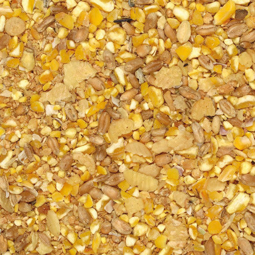 Giuntini Mangime Galline Beccamitutto