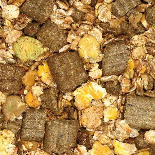 Mangime Cavalli Field the Winner Giuntini 20 kg