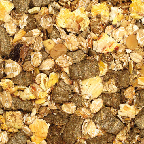 mangime-completo-puledri