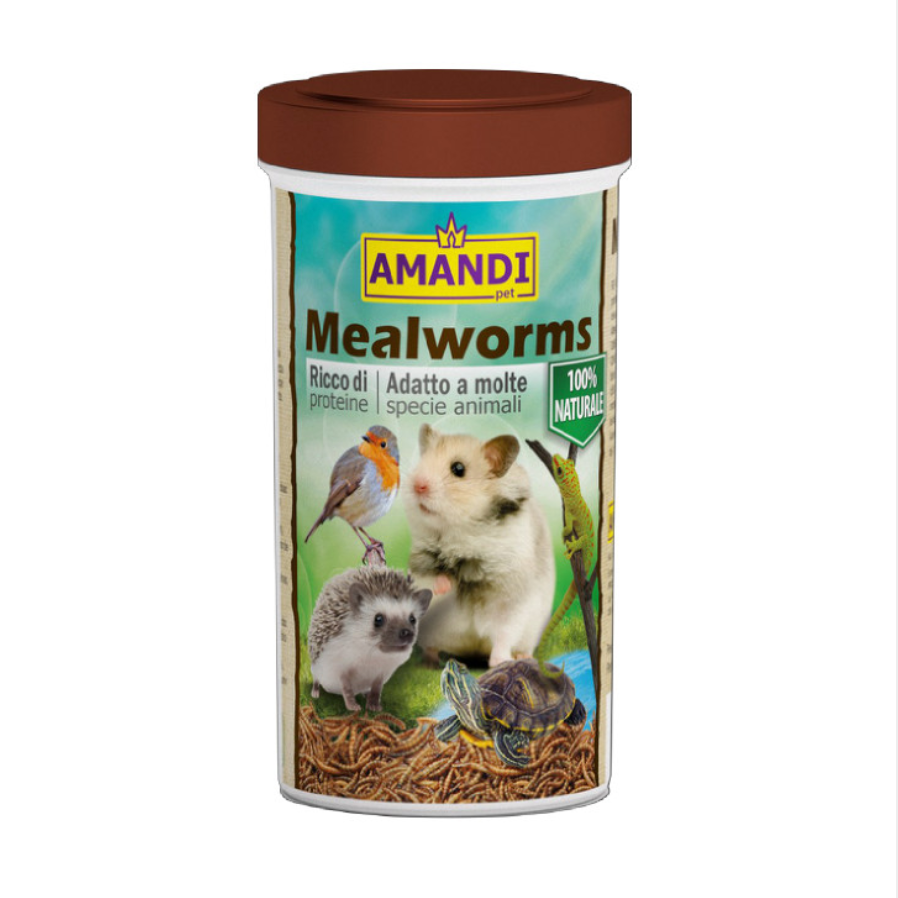 amandi-meal-worms