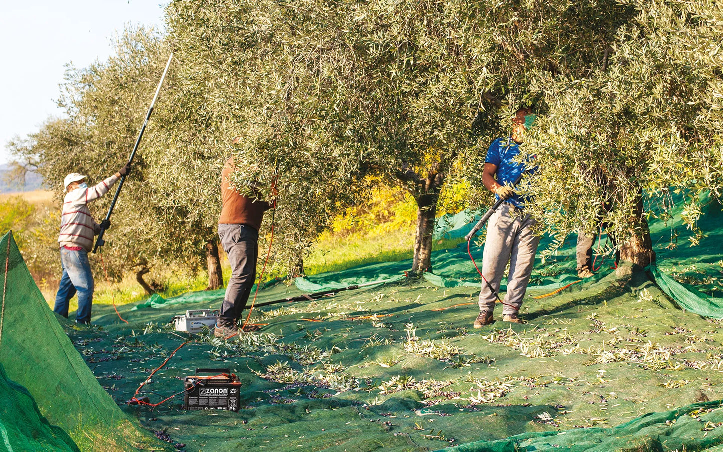 Abbacchiatore Professionale Zanon Albatros