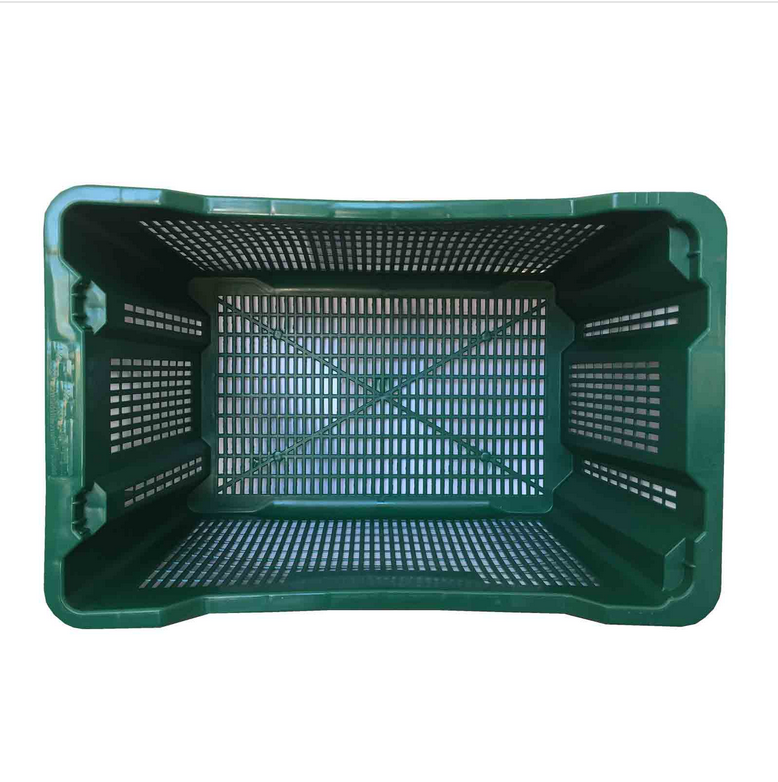 Cassetta olive 40 litri professionale in plastica ventilata