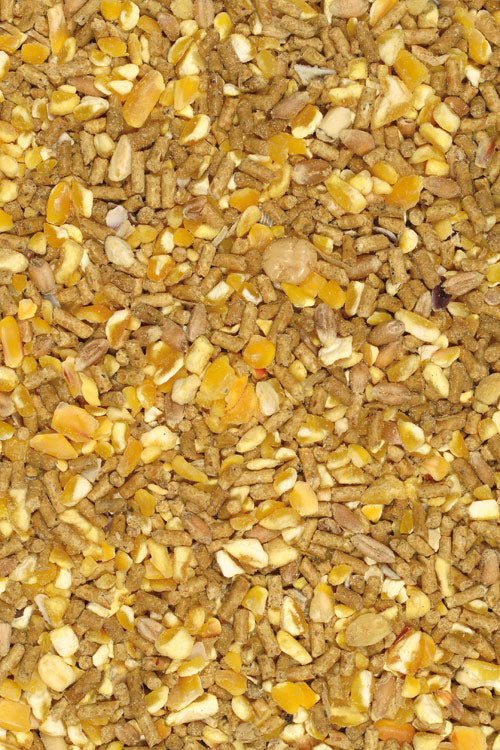 Mangime Coccodoro Giuntini Micronizzato per Galline Ovaiole