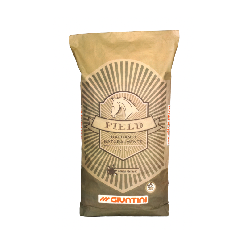 giuntini-mangime-cavalli-foals