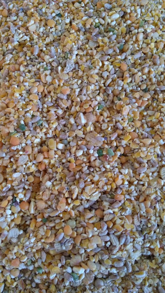 Mangime Galline Giuntini Tuttodoro Kg 25