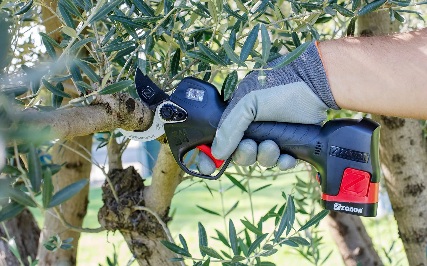 Forbice Elettrica a Batteria Zanon Zm34 con Valigetta