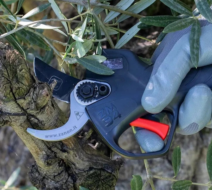 zanon-zm34-dettaglio-lama