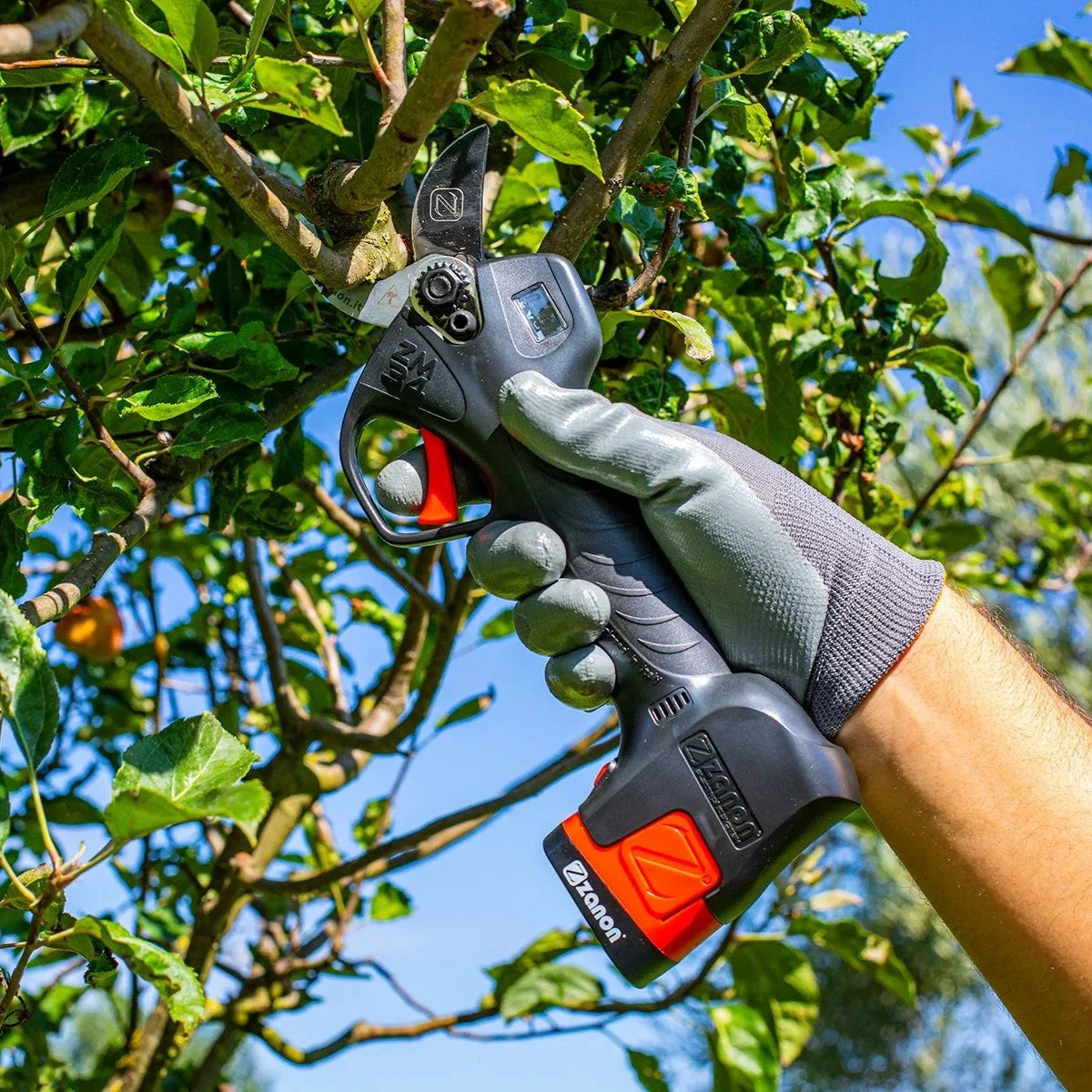 zanon-zm34-forbice-elettrica-azione-2