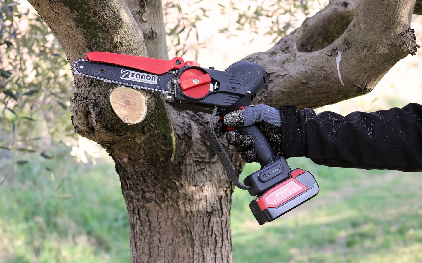 Potatore Elettronico a Batteria Zp 185 con Valigetta e Accessori