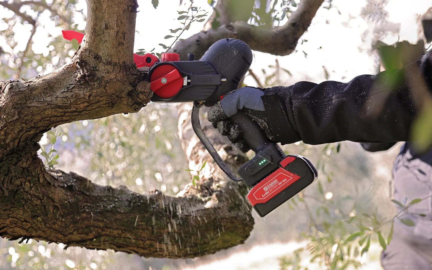 Potatore Elettronico a Batteria Zp 185 con Valigetta e Accessori